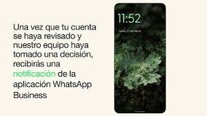 Video post by @whatsapp on YouTube