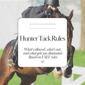 Image post by @theplaidhorsemag on Instagram