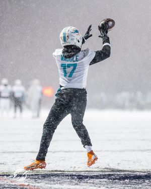 Image post by @LosDolphins on Twitter