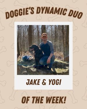 Image post by @doggiespubstatecollege on Instagram