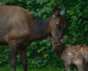Image post by @nationalparktrust on Instagram