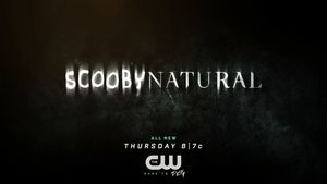 Video post by @thecw62 on Facebook