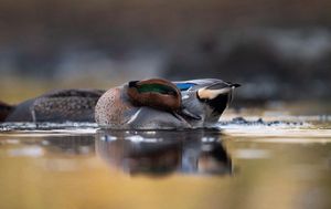 Image post by @huntsphotovideo on Instagram