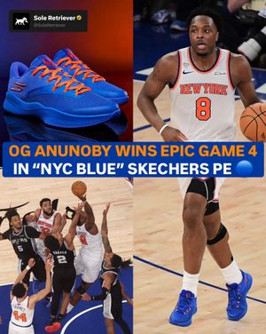 Image post by @soleretriever on Instagram