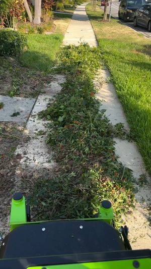 Video post by @greenworkscommercial on Facebook