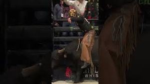 Video post by @pbr on YouTube