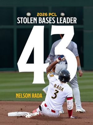 Image post by @saltlakebees on Instagram