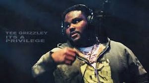 Video post by @teegrizzley on YouTube