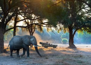 Image post by @chiawasafaris on Instagram
