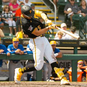 Image post by @bovadawg.visuals on Instagram