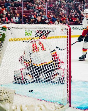 Image post by @anaheimducks on Instagram