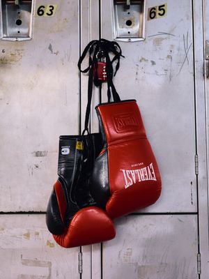 Image post by @everlast on Instagram