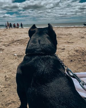 Image post by @allieaurora on Instagram