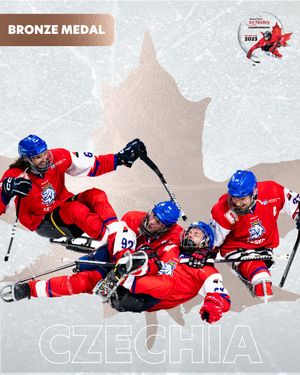 Image post by @paraicehockey on Instagram