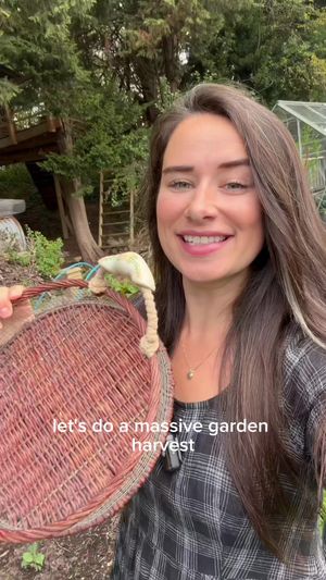 Video post by @gardeningwithlou on TikTok