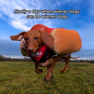 Image post by @HeinzTweets on Twitter