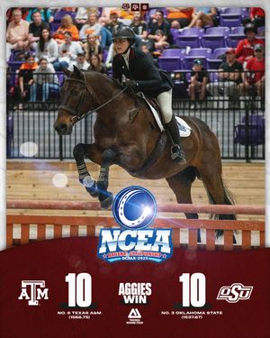 Image post by @aggieequestrian on Instagram