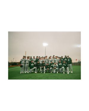 Image post by @msu_baseball on Instagram