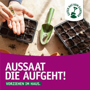 Image post by @oldenburgerwohngarten on Instagram