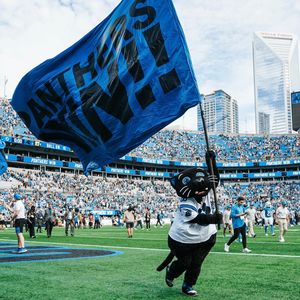 Image post by @sirpurr on Instagram