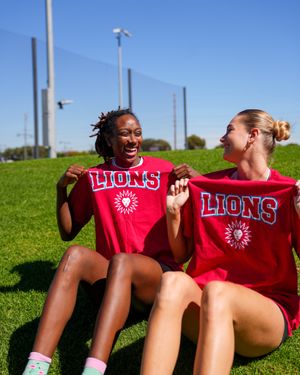 Image post by @lmulionswvb on Instagram