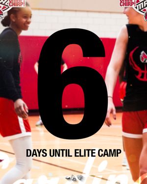Image post by @ballstatewbb on Instagram