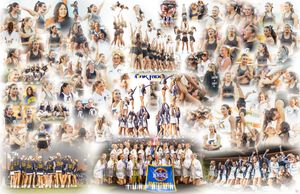 Image post by @turfblur on Instagram