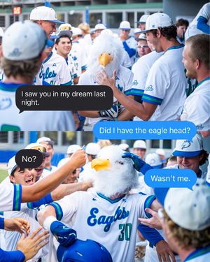 Image post by @fgcu_baseball on Instagram
