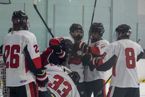 Image post by @lizagazaryanphotography on Instagram