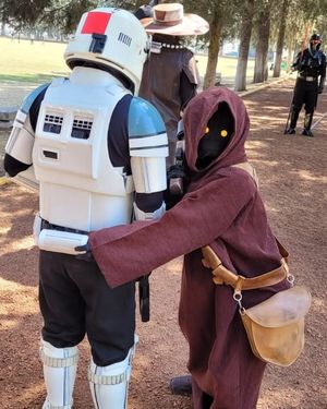 Image post by @official501st on Instagram