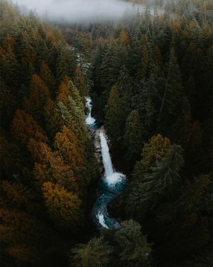 Image post by @bylukemiller on Instagram