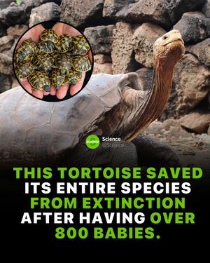 Image post by @science on Instagram