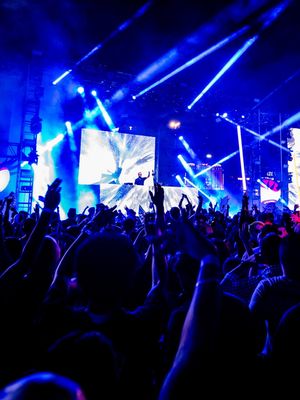 Image post by @area15official on Instagram