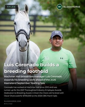 Image post by @thebloodhorse on Instagram