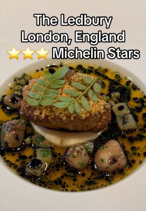 Video post by @highspeeddining on TikTok