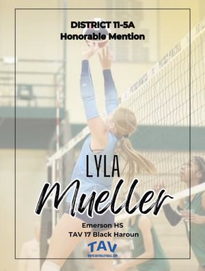 Image post by @tavvolleyball on Instagram