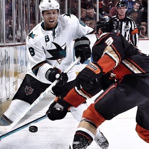 Image post by @sanjosesharks on Instagram