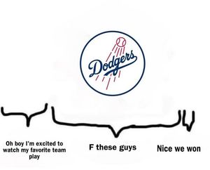 Image post by @therealdodgerhogs on Instagram