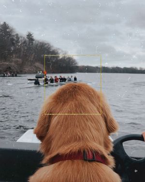 Image post by @bcrowing on Instagram