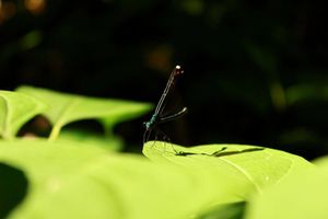 Image post by @sarahdingle.c0m on Instagram