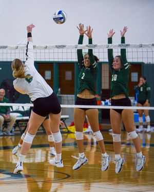 Image post by @binghamtonvb on Instagram