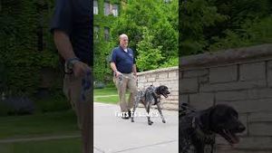 Video post by @marquetteu on YouTube