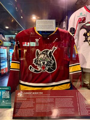 Image post by @Chicago_Wolves on Twitter