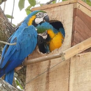 Image post by @fundacionloros on Instagram