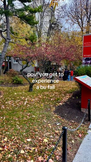 Video post by @bostonu on TikTok