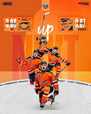 Image post by @flintfirebirds on Instagram