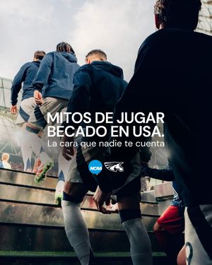 Image post by @udbsports on Instagram
