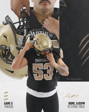 Image post by @panthersifl on Instagram