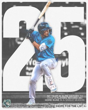 Image post by @goghosthounds on Instagram