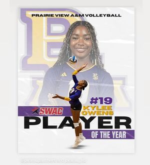 Image post by @terrellowens on Instagram